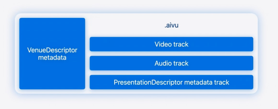 Structure of an Apple Immersive Video delivery file